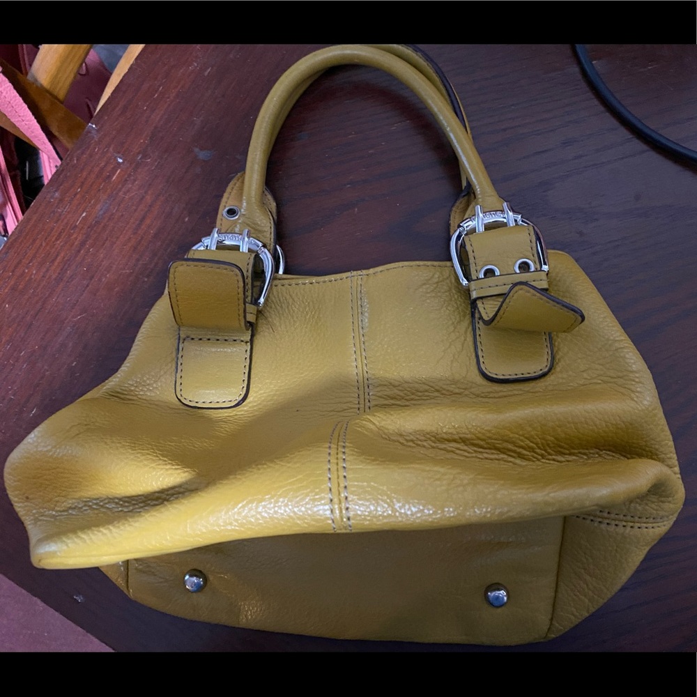 Tignanello purse